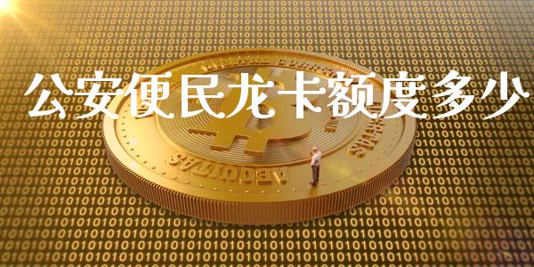 公安便民龙卡额度多少_https://m.yjjixie.cn_恒指期货直播间喊单_第1张