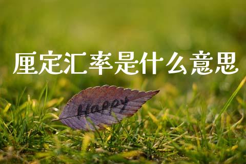 厘定汇率是什么意思_https://m.yjjixie.cn_恒生指数直播平台_第1张
