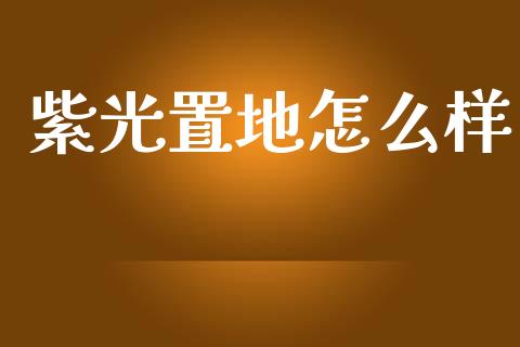 紫光置地怎么样_https://m.yjjixie.cn_恒指期货直播间喊单_第1张