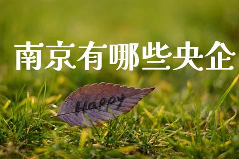 南京有哪些央企_https://m.yjjixie.cn_恒指期货直播间喊单_第1张