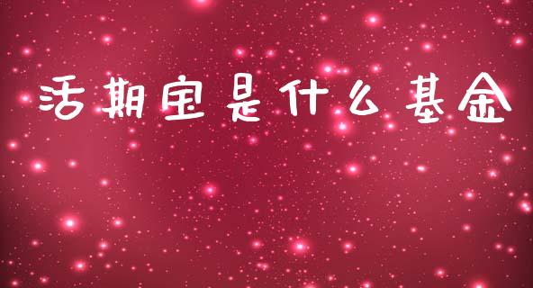 活期宝是什么基金_https://m.yjjixie.cn_恒指期货直播间喊单_第1张