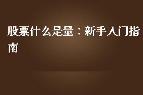 股票什么是量：新手入门指南_https://m.yjjixie.cn_德指在线喊单直播室_第1张