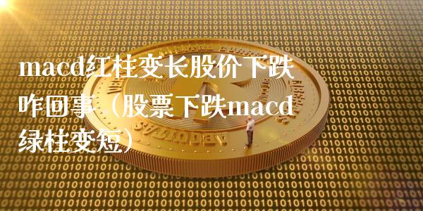 macd红柱变长股价下跌咋回事（股票下跌macd绿柱变短）_https://m.yjjixie.cn_纳指直播间_第1张