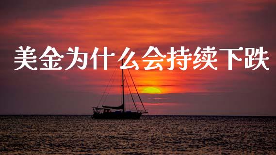 美金为什么会持续下跌_https://m.yjjixie.cn_恒指期货直播间喊单_第1张