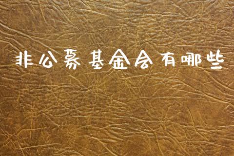 非公募基金会有哪些_https://m.yjjixie.cn_德指在线喊单直播室_第1张