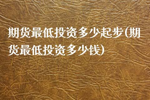 期货最低投资多少起步(期货最低投资多少钱)_https://m.yjjixie.cn_恒指期货直播间喊单_第1张