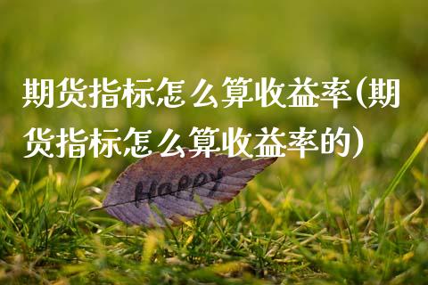 期货指标怎么算收益率(期货指标怎么算收益率的)_https://m.yjjixie.cn_恒指期货直播间喊单_第1张