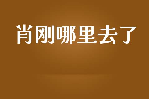肖刚哪里去了_https://m.yjjixie.cn_纳指直播间_第1张