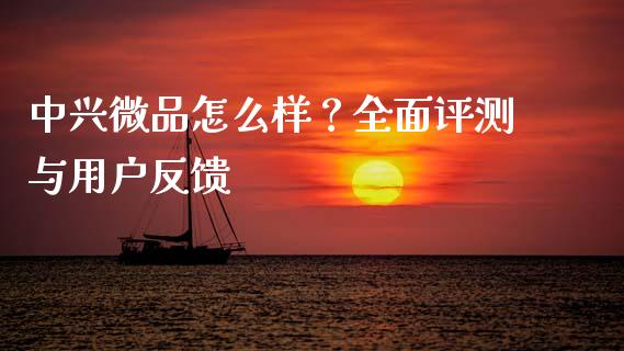 中兴微品怎么样？全面评测与用户反馈_https://m.yjjixie.cn_恒指期货直播间喊单_第1张
