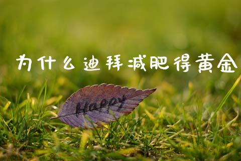 为什么迪拜减肥得黄金_https://m.yjjixie.cn_恒指期货直播间喊单_第1张