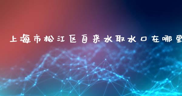 上海市松江区自来水取水口在哪里_https://m.yjjixie.cn_德指在线喊单直播室_第1张