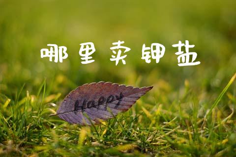 哪里卖钾盐_https://m.yjjixie.cn_恒指期货直播间喊单_第1张