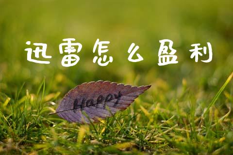 迅雷怎么盈利_https://m.yjjixie.cn_恒生指数直播平台_第1张