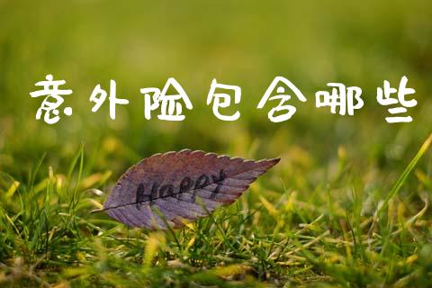意外险包含哪些_https://m.yjjixie.cn_德指在线喊单直播室_第1张