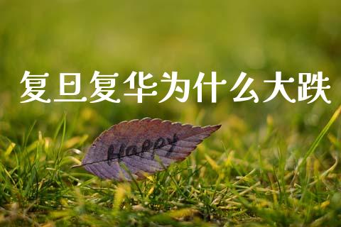 复旦复华为什么大跌_https://m.yjjixie.cn_恒生指数直播平台_第1张