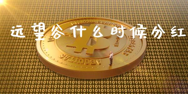 远望谷什么时候分红_https://m.yjjixie.cn_纳指直播间_第1张