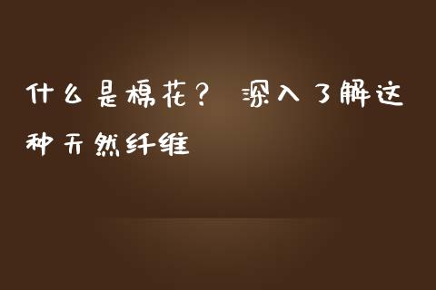 什么是棉花？ 深入了解这种天然纤维_https://m.yjjixie.cn_恒生指数直播平台_第1张