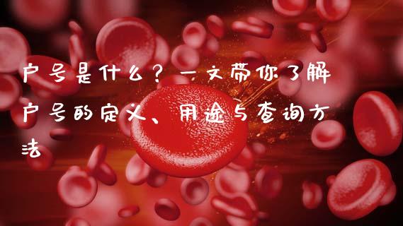 户号是什么？一文带你了解户号的定义、用途与查询方法_https://m.yjjixie.cn_恒指期货直播间喊单_第1张