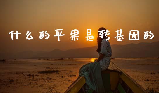 什么的平果是转基因的_https://m.yjjixie.cn_纳指直播间_第1张