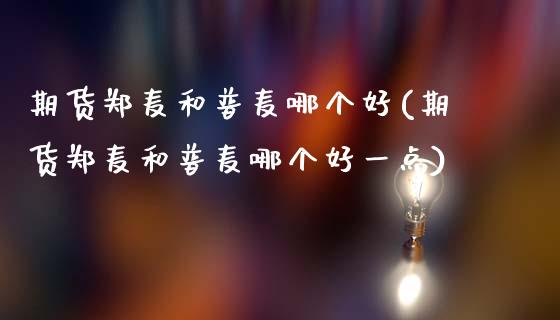 期货郑麦和普麦哪个好(期货郑麦和普麦哪个好一点)_https://m.yjjixie.cn_恒指期货直播间喊单_第1张