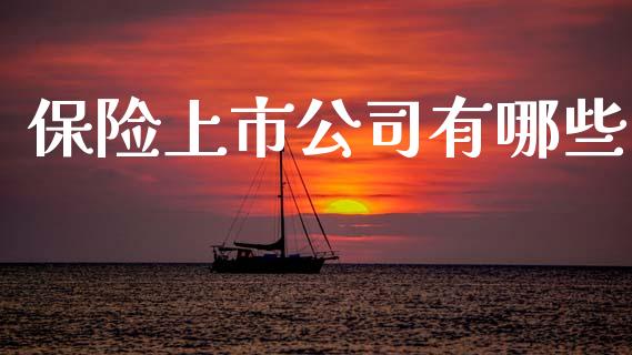 保险上市公司有哪些_https://m.yjjixie.cn_德指在线喊单直播室_第1张