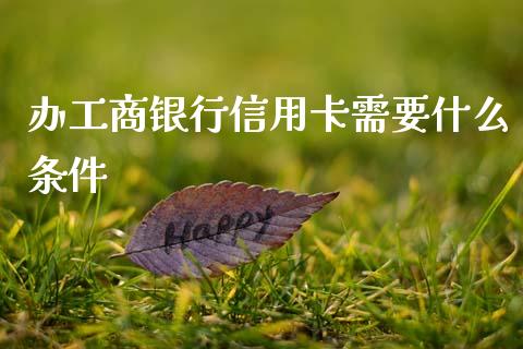 办工商银行信用卡需要什么条件_https://m.yjjixie.cn_纳指直播间_第1张