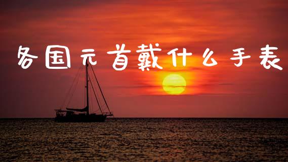 各国元首戴什么手表_https://m.yjjixie.cn_恒生指数直播平台_第1张