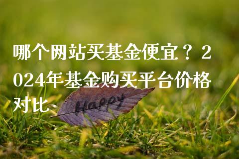 哪个网站买基金便宜？ 2024年基金购买平台价格对比_https://m.yjjixie.cn_恒指期货直播间喊单_第1张