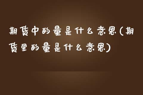 期货中的量是什么意思(期货里的量是什么意思)_https://m.yjjixie.cn_恒生指数直播平台_第1张