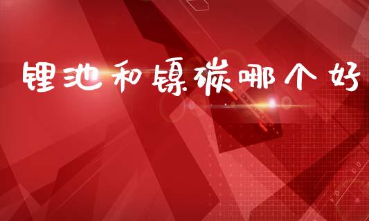锂池和镍碳哪个好_https://m.yjjixie.cn_德指在线喊单直播室_第1张