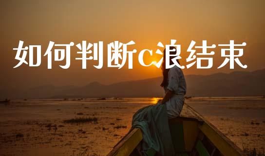 如何判断c浪结束_https://m.yjjixie.cn_纳指直播间_第1张