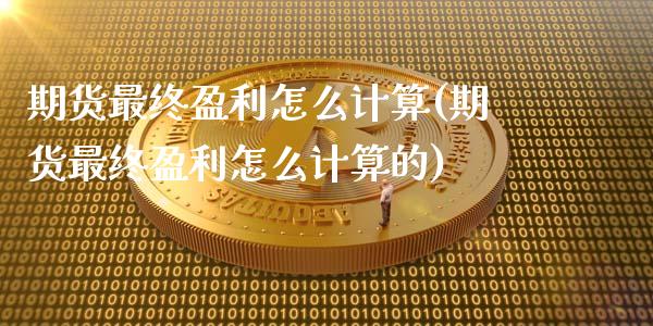 期货最终盈利怎么计算(期货最终盈利怎么计算的)_https://m.yjjixie.cn_德指在线喊单直播室_第1张