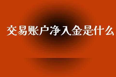 交易账户净入金是什么_https://m.yjjixie.cn_德指在线喊单直播室_第1张