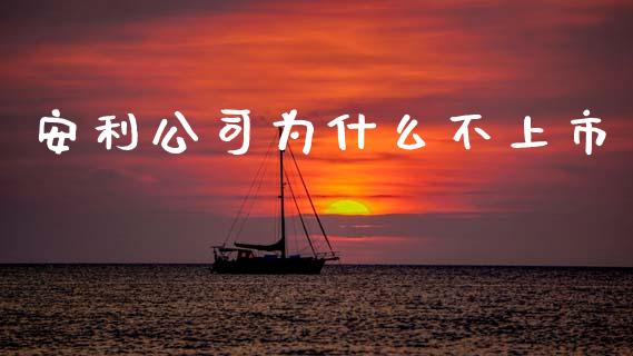 安利公司为什么不上市_https://m.yjjixie.cn_恒指期货直播间喊单_第1张