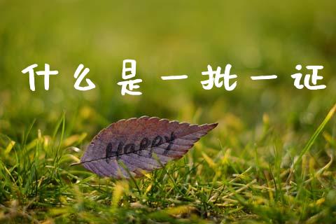 什么是一批一证_https://m.yjjixie.cn_恒指期货直播间喊单_第1张