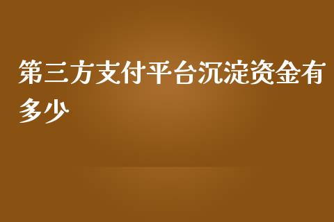 第三方支付平台沉淀资金有多少_https://m.yjjixie.cn_纳指直播间_第1张