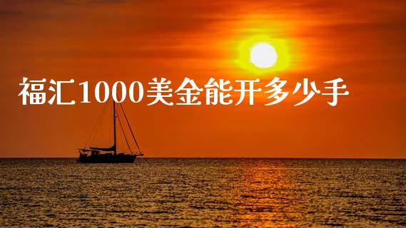 福汇1000美金能开多少手_https://m.yjjixie.cn_纳指直播间_第1张