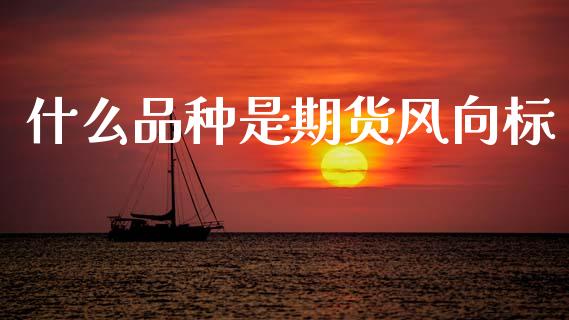 什么品种是期货风向标_https://m.yjjixie.cn_恒生指数直播平台_第1张