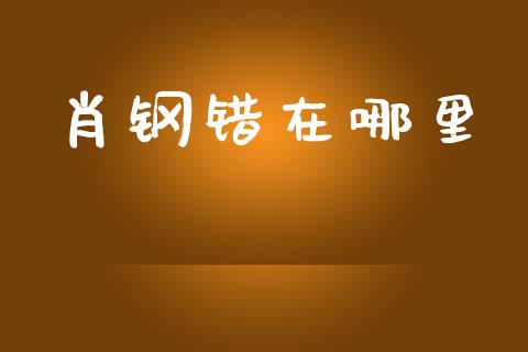 肖钢错在哪里_https://m.yjjixie.cn_恒指期货直播间喊单_第1张