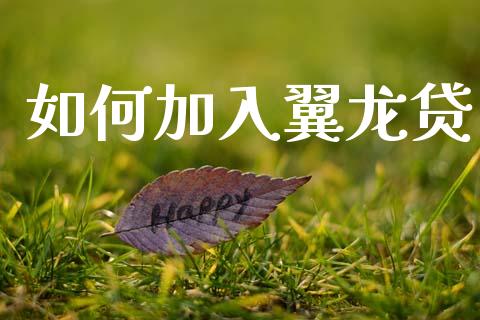如何加入翼龙贷_https://m.yjjixie.cn_纳指直播间_第1张