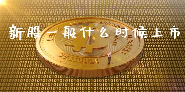 新股一般什么时候上市_https://m.yjjixie.cn_纳指直播间_第1张