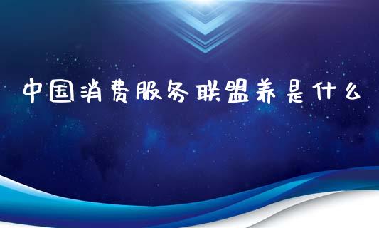 中国消费服务联盟养是什么_https://m.yjjixie.cn_德指在线喊单直播室_第1张