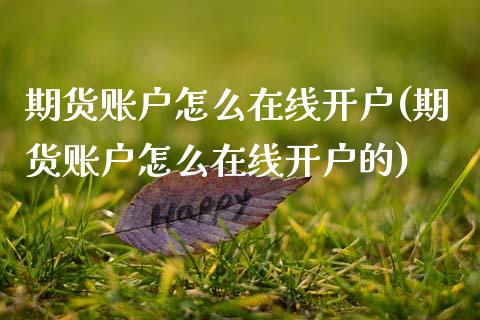 期货账户怎么在线开户(期货账户怎么在线开户的)_https://m.yjjixie.cn_德指在线喊单直播室_第1张