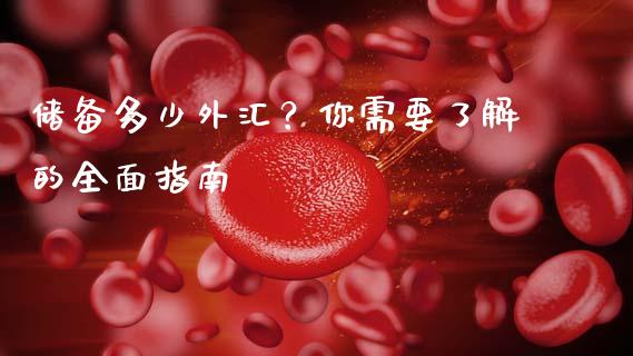 储备多少外汇？你需要了解的全面指南_https://m.yjjixie.cn_纳指直播间_第1张