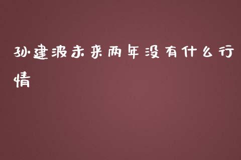 孙建波未来两年没有什么行情_https://m.yjjixie.cn_恒指期货直播间喊单_第1张