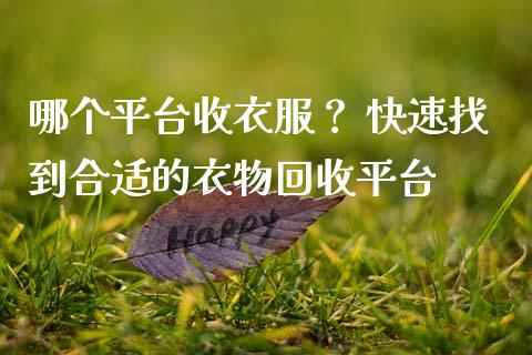 哪个平台收衣服？ 快速找到合适的衣物回收平台_https://m.yjjixie.cn_恒生指数直播平台_第1张