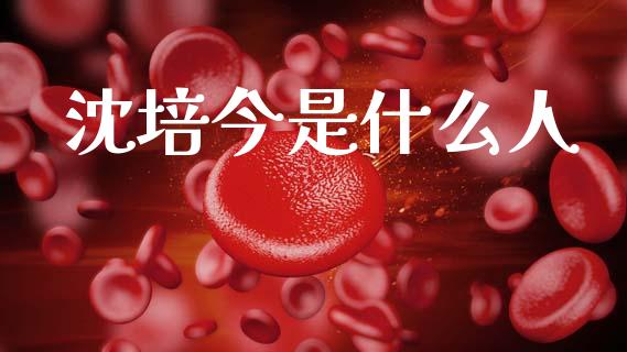 沈培今是什么人_https://m.yjjixie.cn_恒指期货直播间喊单_第1张