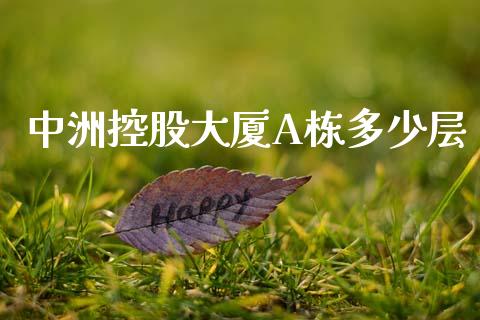 中洲控股大厦A栋多少层_https://m.yjjixie.cn_德指在线喊单直播室_第1张