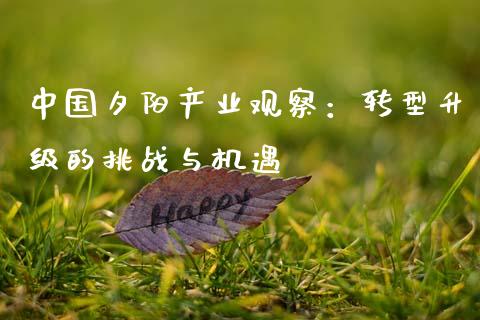 中国夕阳产业观察：转型升级的挑战与机遇_https://m.yjjixie.cn_恒生指数直播平台_第1张