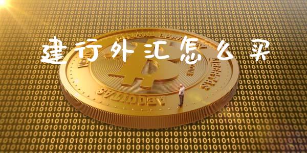 建行外汇怎么买_https://m.yjjixie.cn_恒指期货直播间喊单_第1张